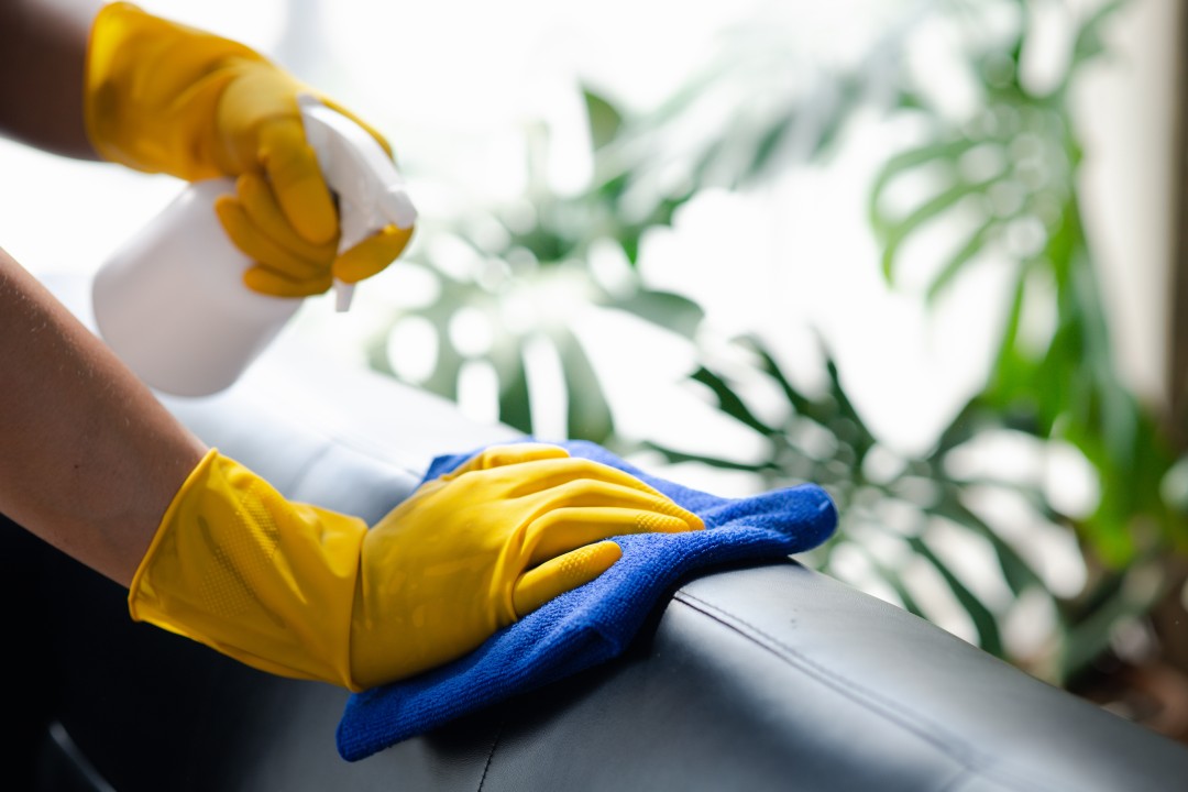 Cleaning & Maintenance